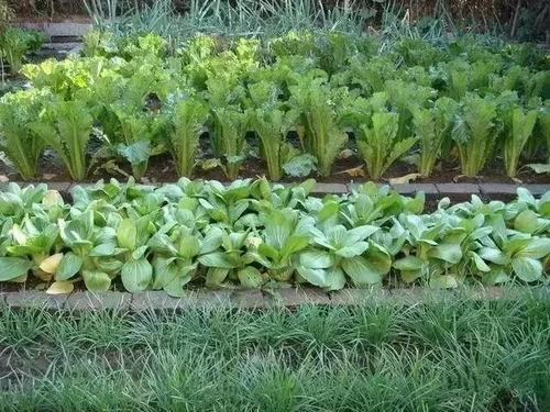 琼海农村道士做法视频