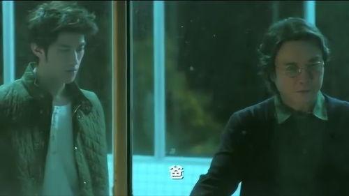 父亲打男主的视频,揭秘父亲暴力教育下的悲剧人生