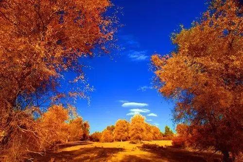 金秋十月视频,丰收的季节，美好时光的见证