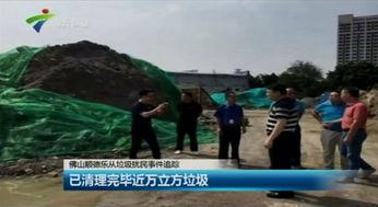 乐从新闻视频,聚焦城市发展，展现乐从新面貌