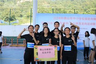 乐从新闻视频,聚焦城市发展,展现乐从新面貌