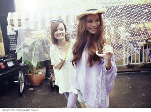 风吟鸟唱在线视频,自然和谐交响曲的视觉盛宴