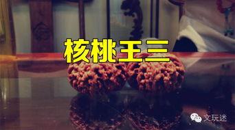 王三核桃视频,揭秘核桃种植与加工的奇妙之旅