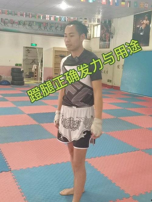 正蹬腿视频,从入门到精通