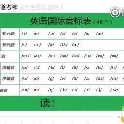 48国际音标发音视频,48国际音标发音视频精华概述