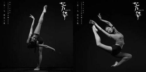 歌舞团6视频,激情绽放,青春旋律